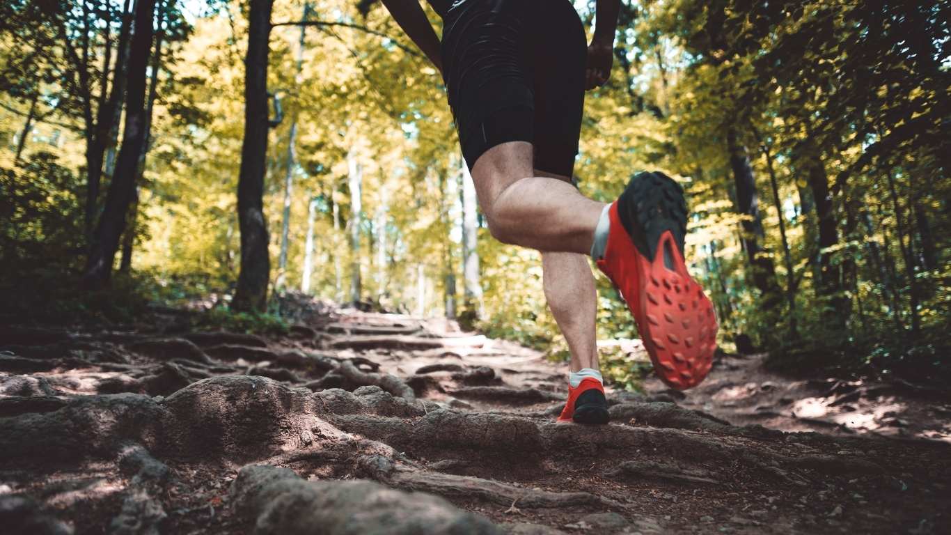 Düsseldorf Trail – 14.03.2027